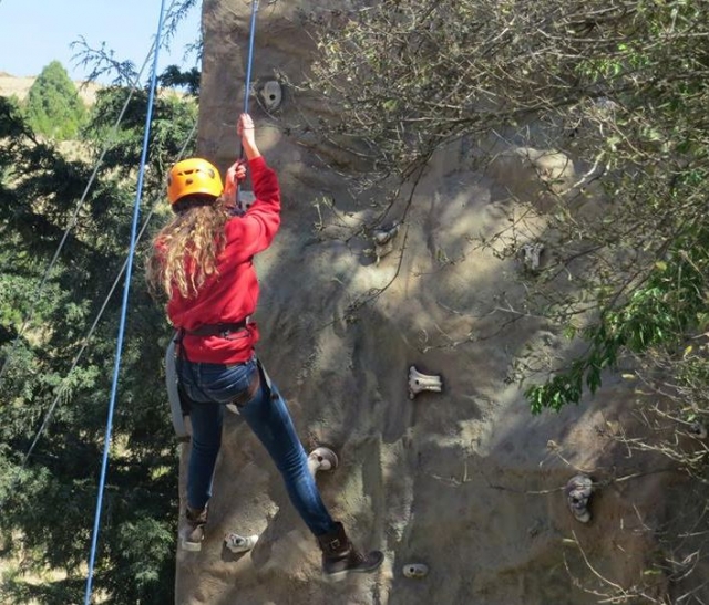  climb to the top 
